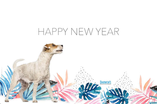 Make a New Year’s Resolution for a Healthier Pet darwinspet