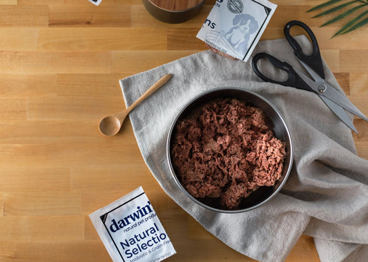 Manganese-in-Your-Pet-s-Diet darwinspet