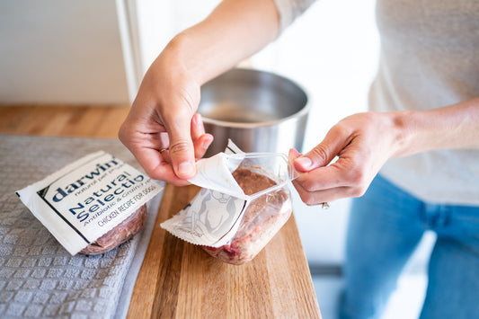 A Diabetic Dog Food Guide