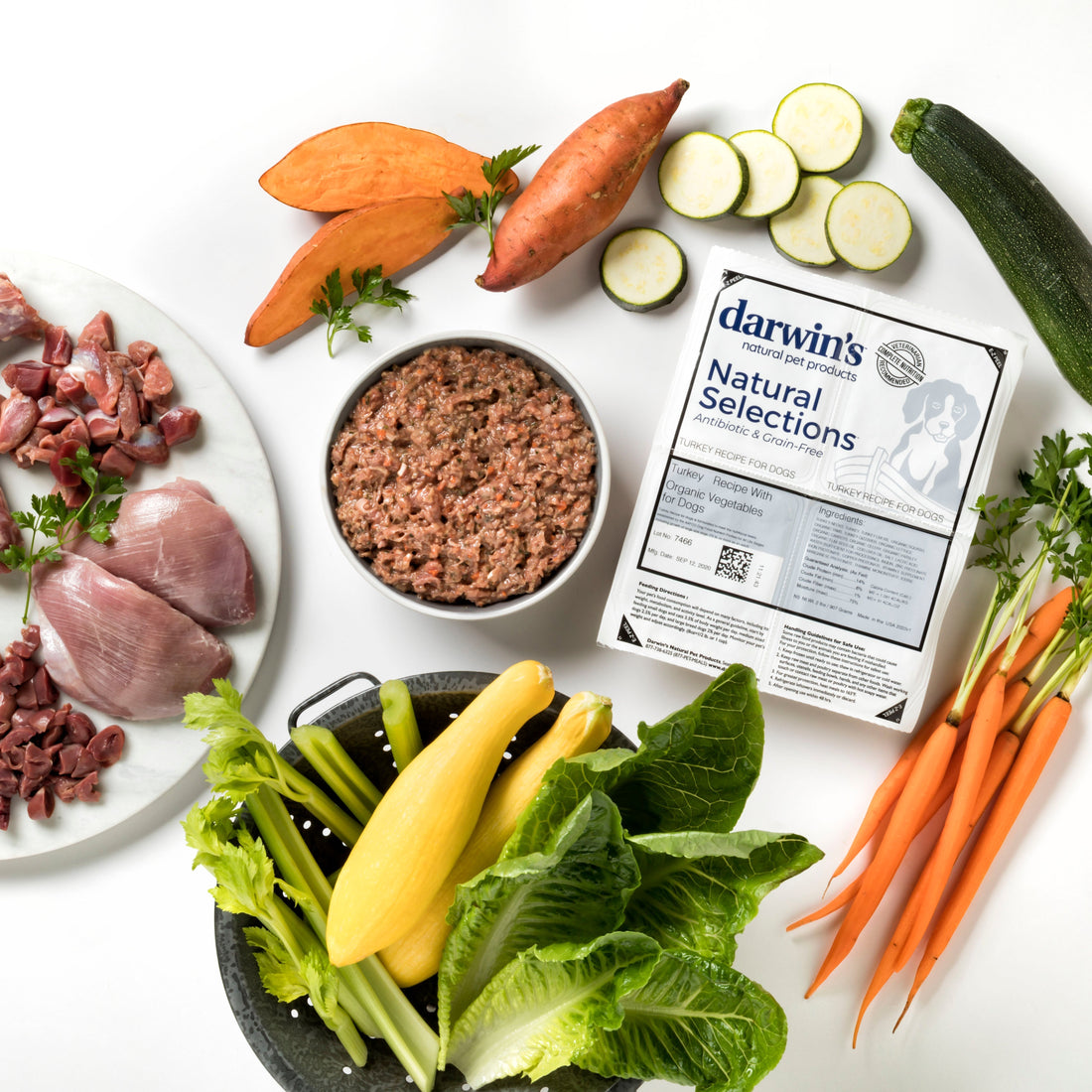 Veterinarian Feeding Trial & Partnerships
