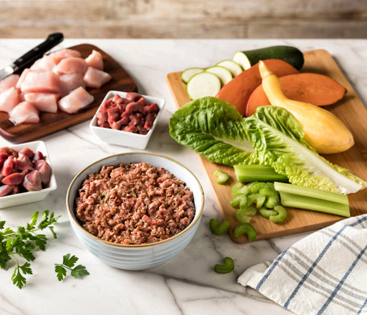 All About Raw Dog Food