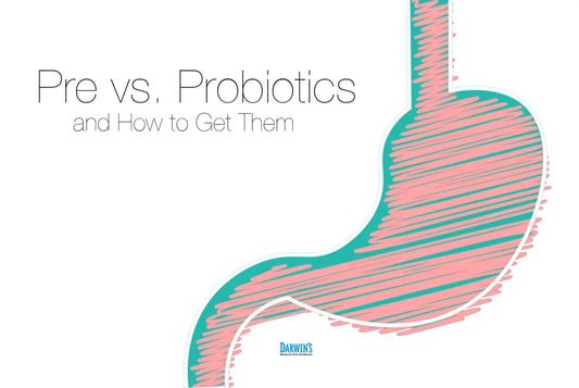 Probiotics & Prebiotics for Dogs darwinspet