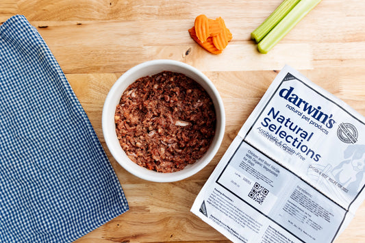 Raw Dog Food: Benefits & Options - Darwin's