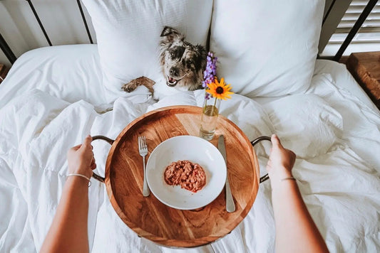 The Ancestral Diet for Dogs - Darwin's