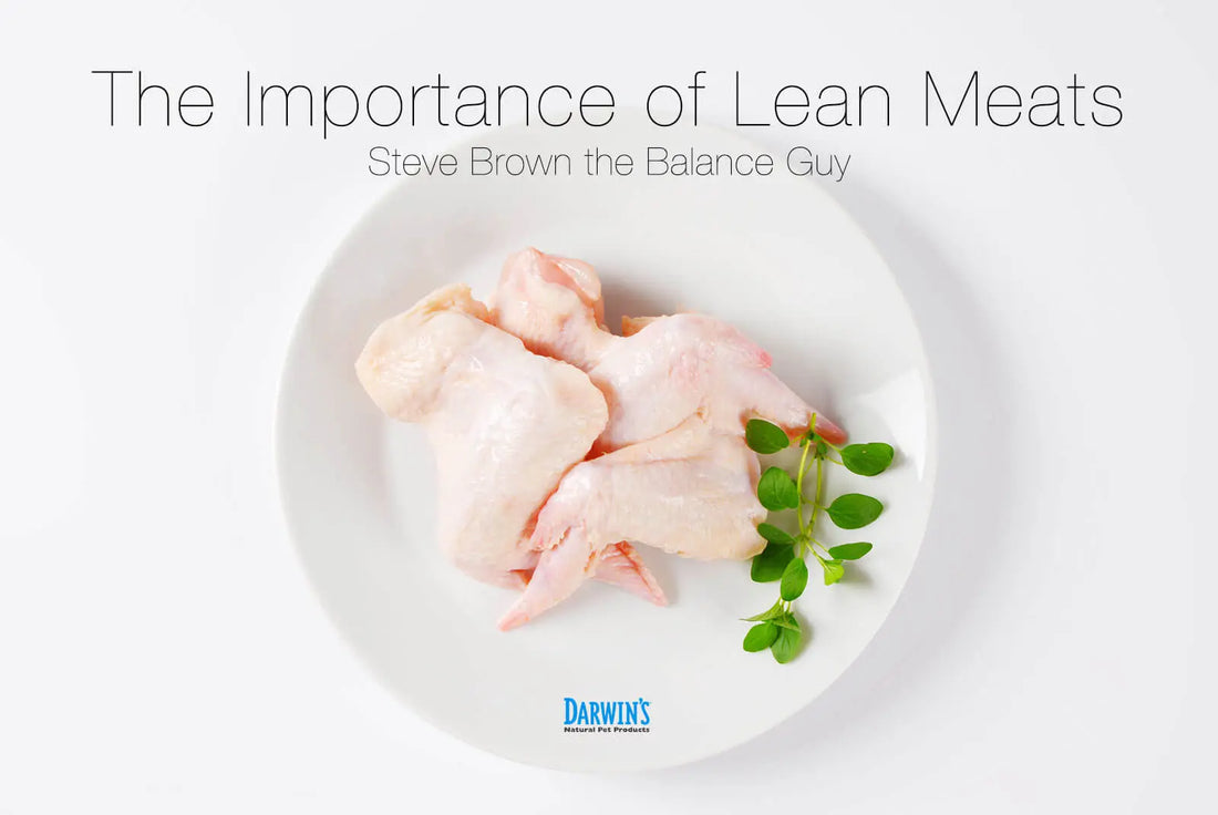 The Importance of Lean Meats In Raw Diets darwinspet