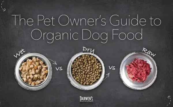 The Pet Owner’s Guide to Organic Dog Food darwinspet