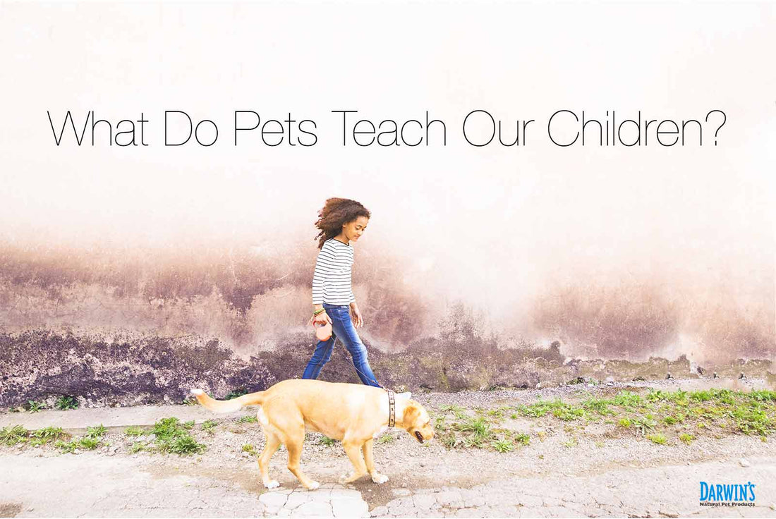 What Do Pets Teach Our Children? darwinspet