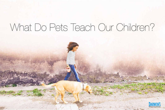 What Do Pets Teach Our Children? darwinspet