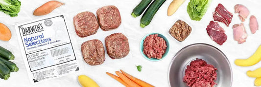 What They Were Born to Eat - Darwin's