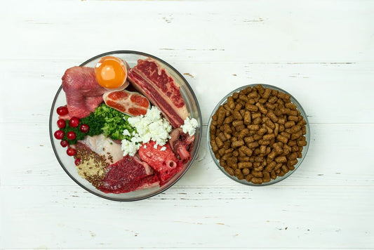 Grain-Free Dog Food vs. Raw Diet: What's Better?