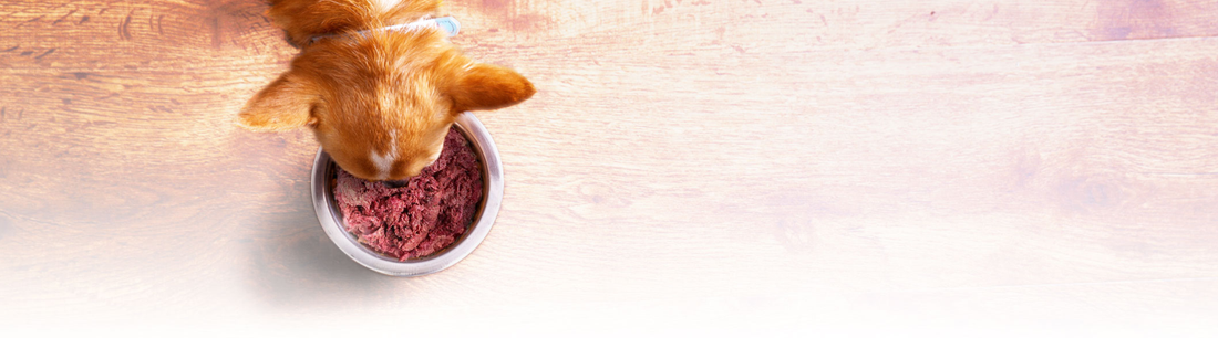 Which is the Best Food for My Dog: Natural Selections™ or BioLogics™?