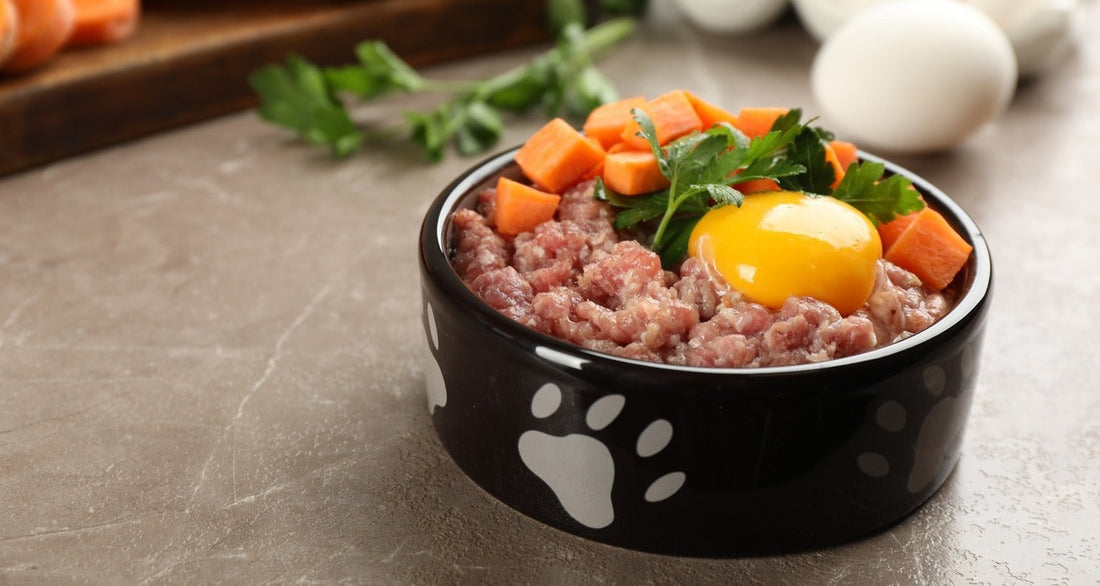 Healthy Human Foods For Dogs