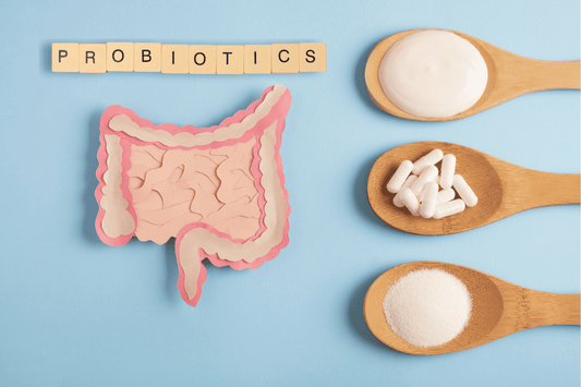 Probiotics & Prebiotics for Dogs