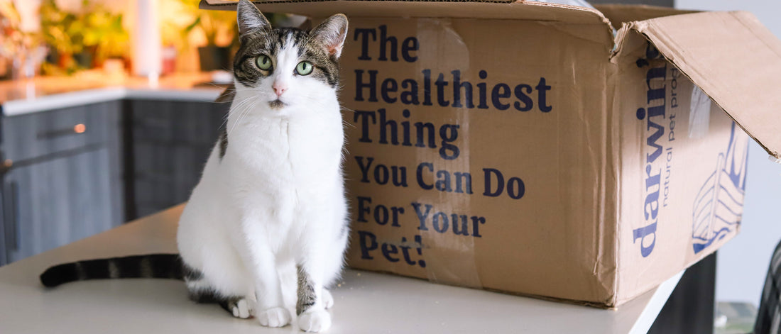 Darwin's Pet Food Free Home Delivery