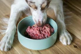 Raw Food Diet for Dogs