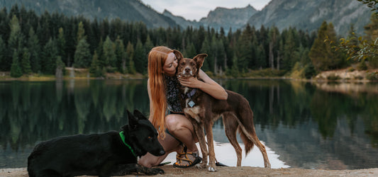 Darwin’s Foster Dogs