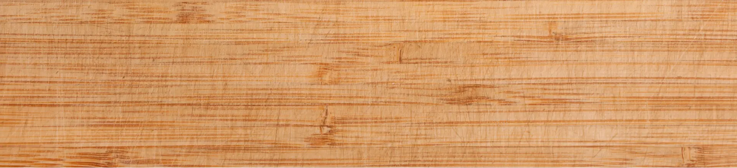 Intelligent-Design-for-Dogs darwinspet