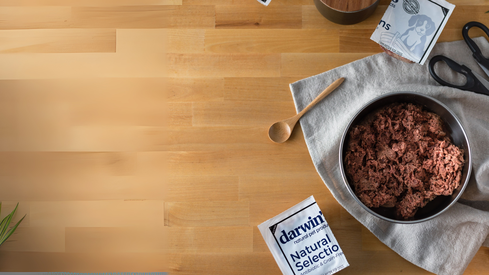 Darwin's raw pet food is displayed in its packaging and served in a dog bowl on a cutting board.