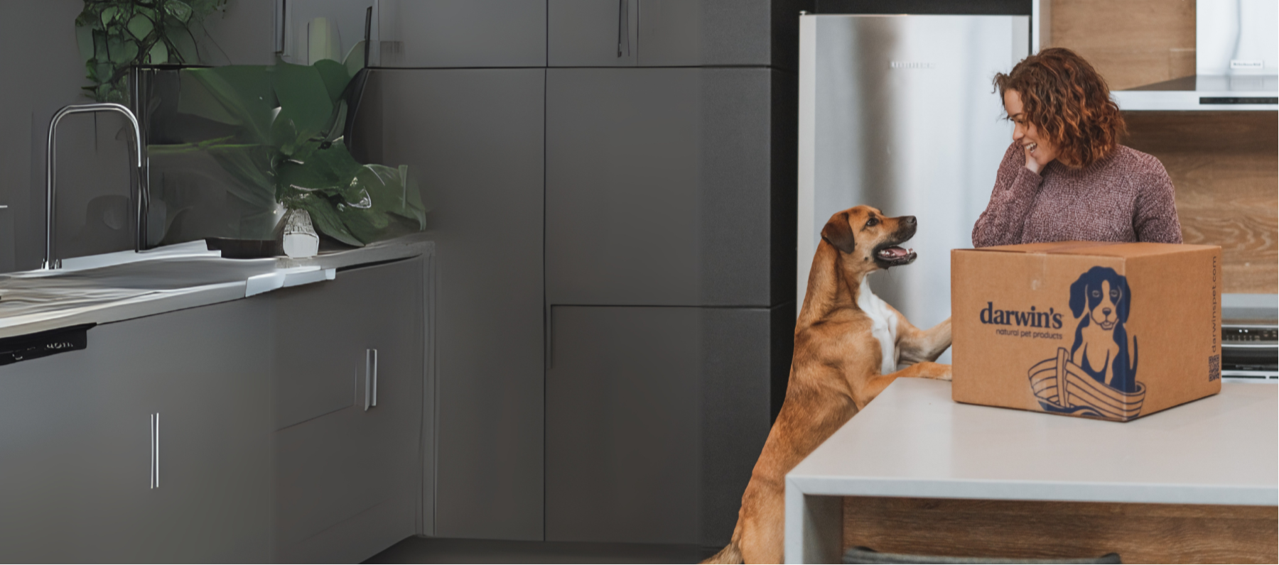 A dog looks up at his owner in a kitchen. Both are happy and smiling behind a Darwin's Natural Pet Products box.