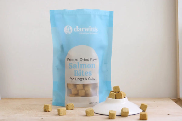 Delicious Freeze-Dried Salmon Treats for Pets – Darwin's