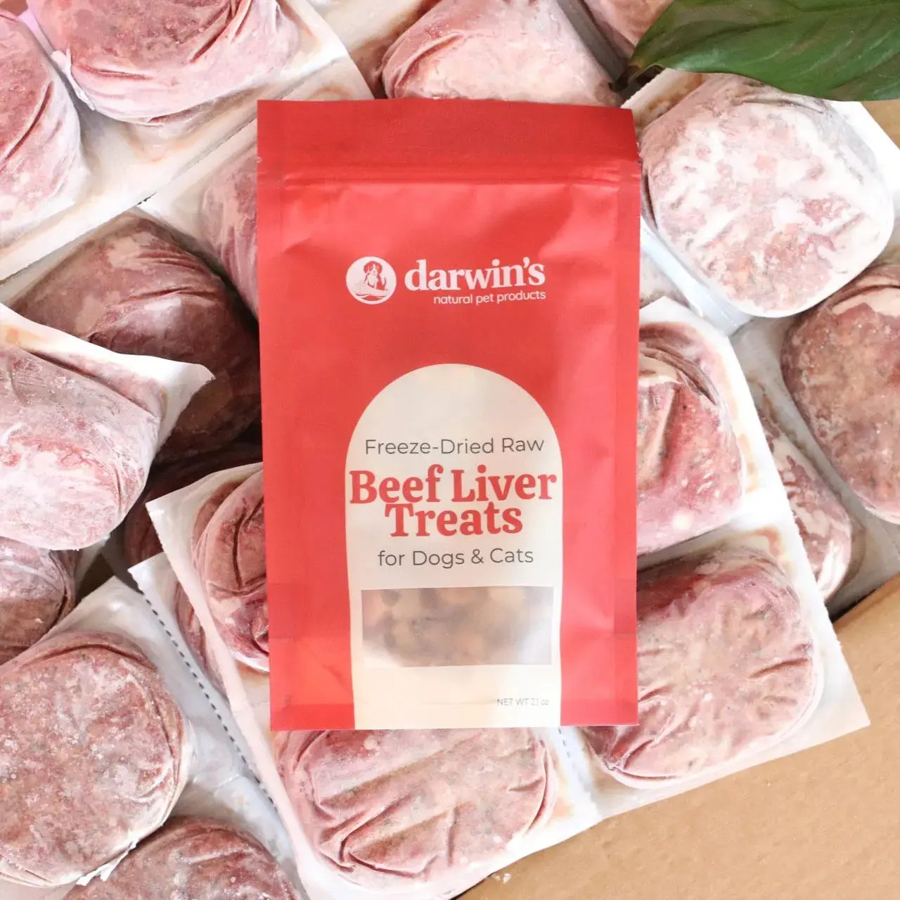 Premium Beef Treats for Dogs - Freeze-Dried Raw Liver – Darwin's