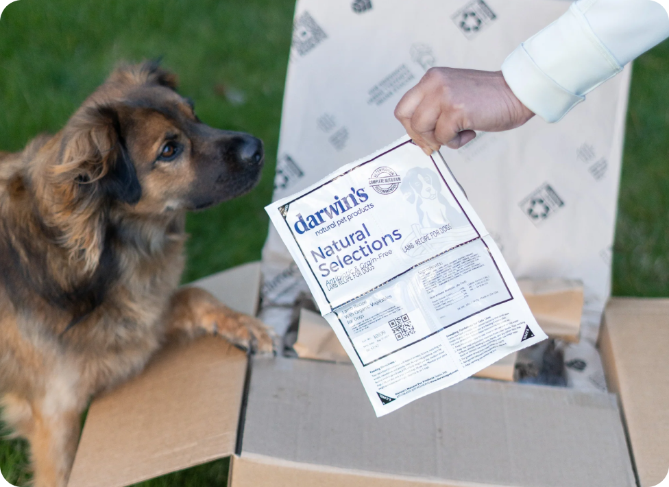 <p>Your pet's health <strong>on autopilot.</strong></p>
