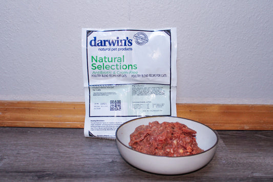 Natural Selections Raw Poultry Blend for Cats Darwin's