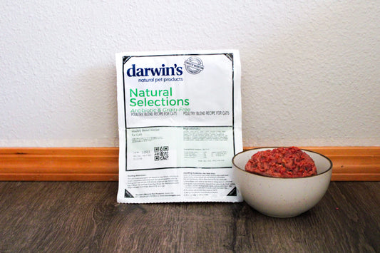 Natural Selections Raw Poultry Blend for Cats Darwin's