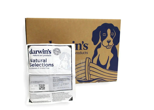 Natural Selections Best Sellers Box for Dogs darwinspet