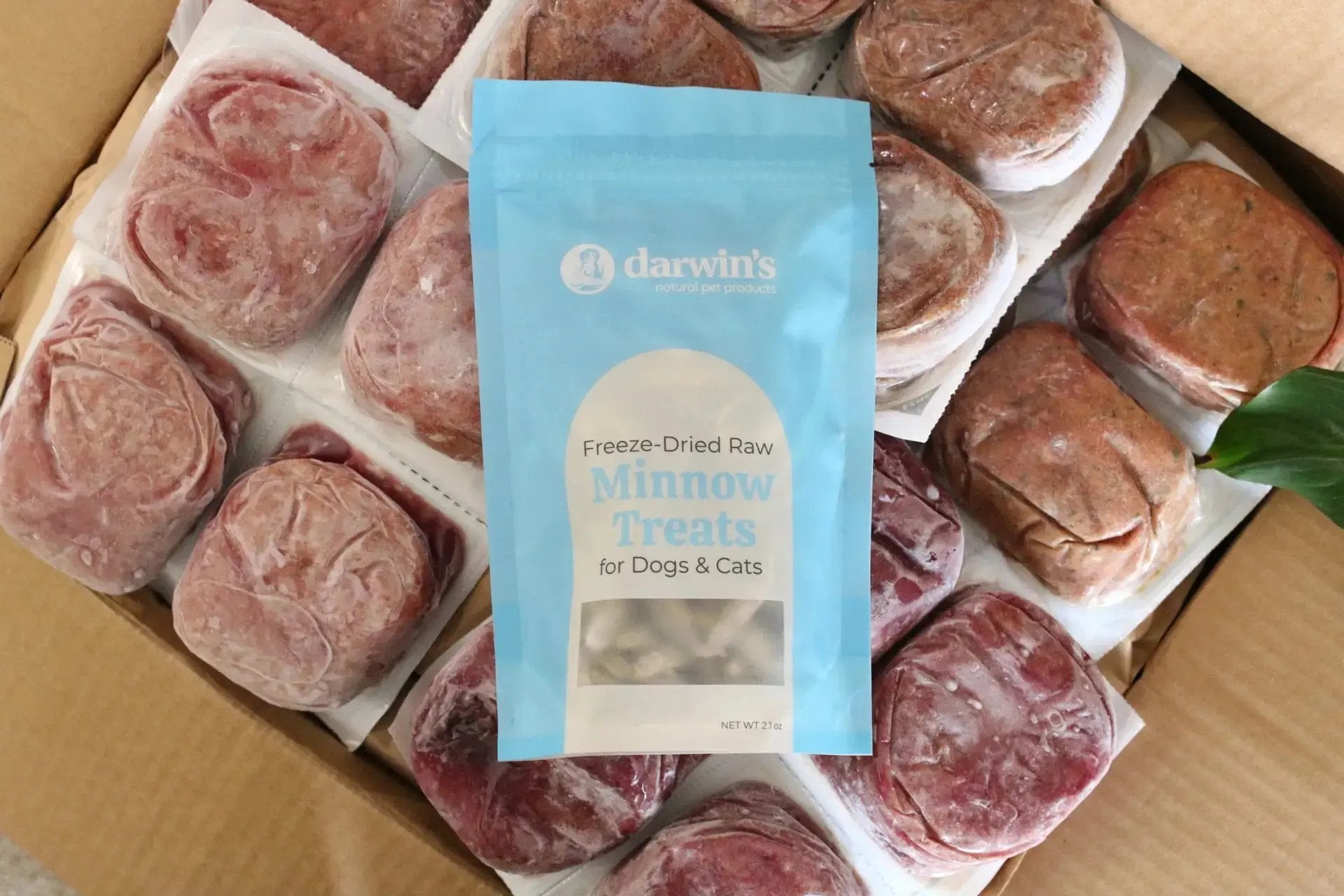 freeze dried minnows​