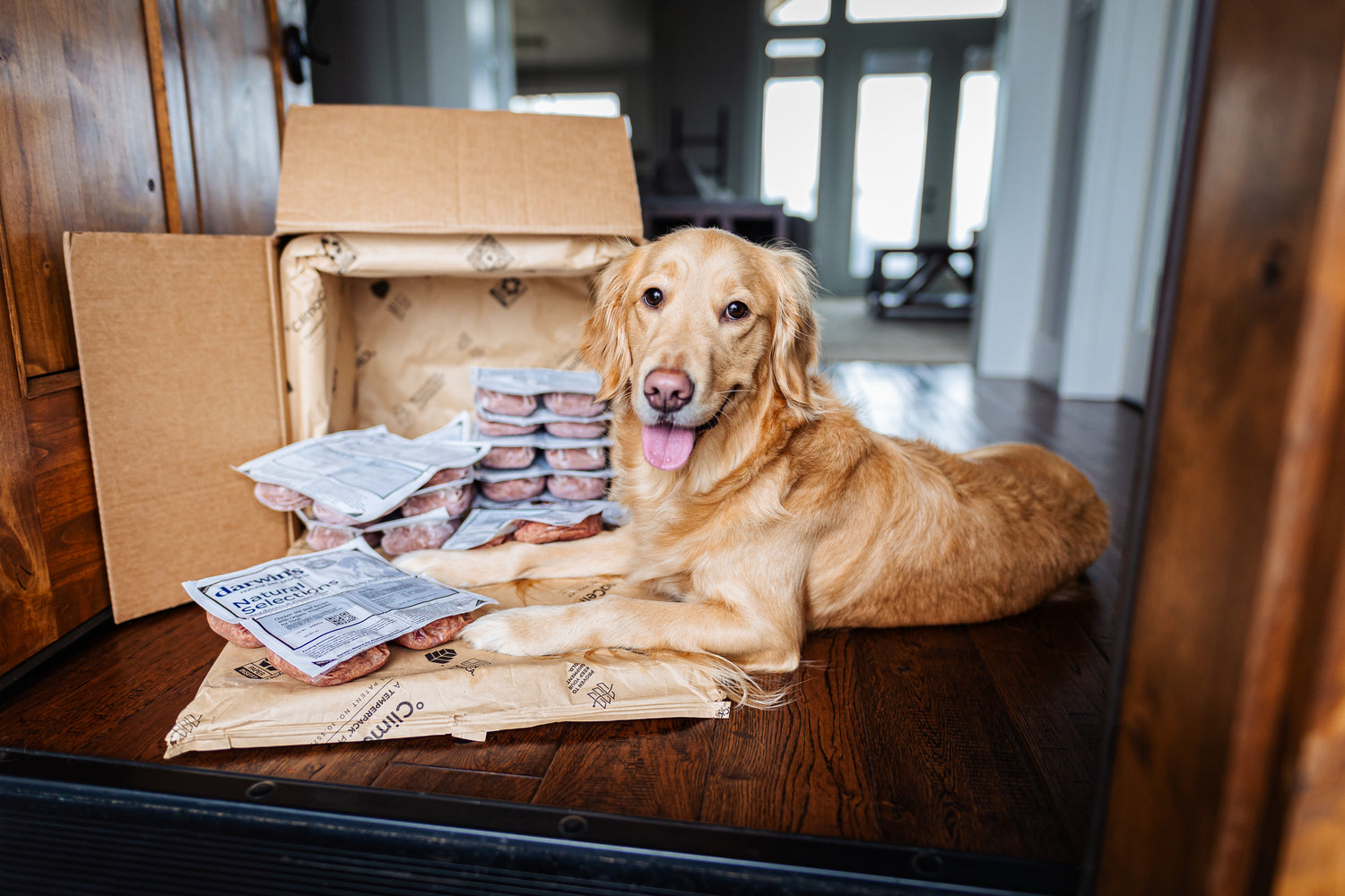 Dog lying on a wooden floor next to an open cardboard box filled with pet food packages.