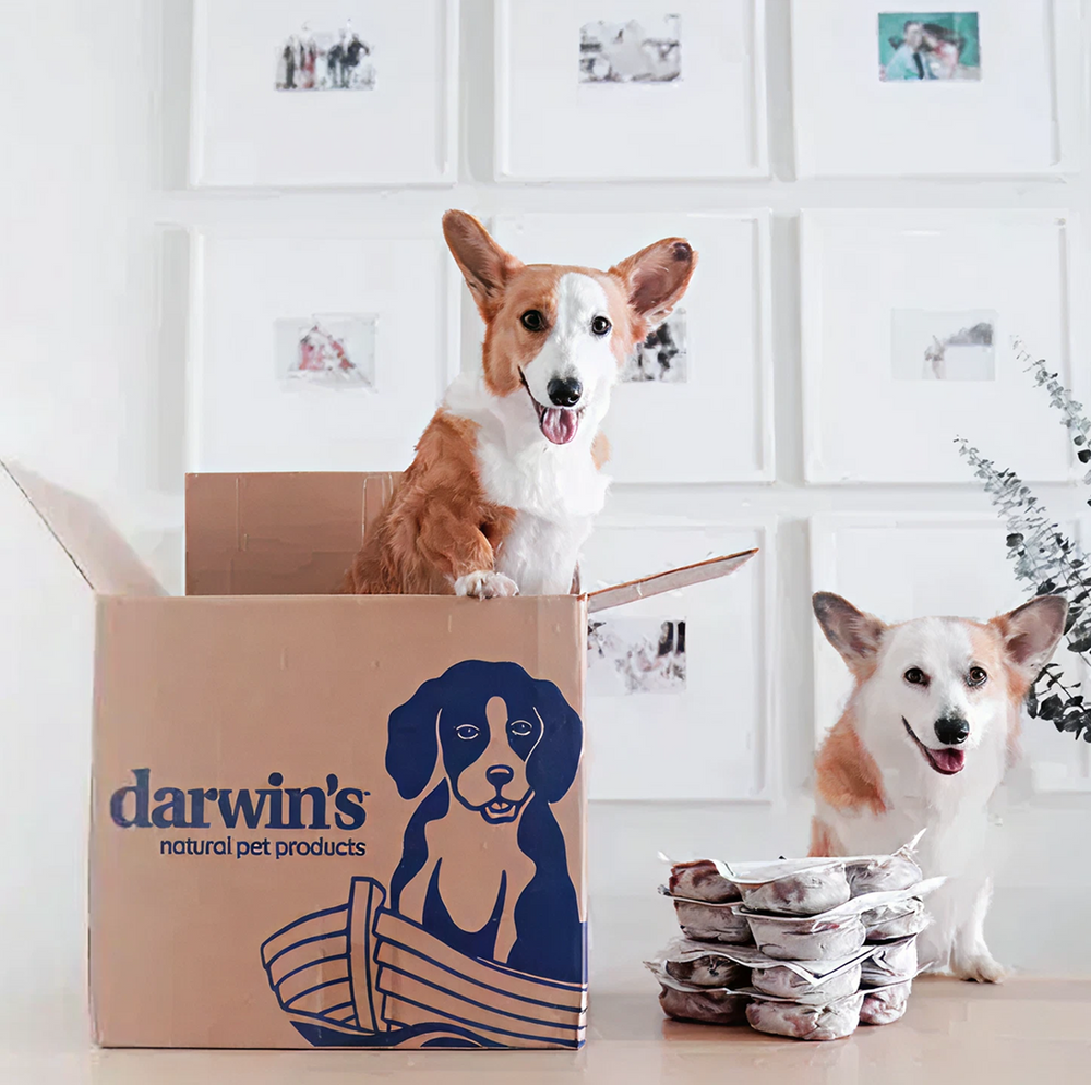 Darwin's Difference