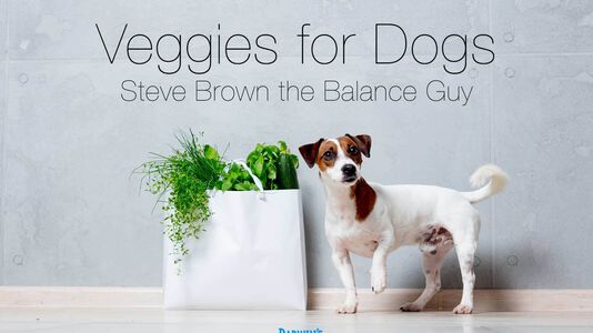Yes; Vegetables for Dogs!
