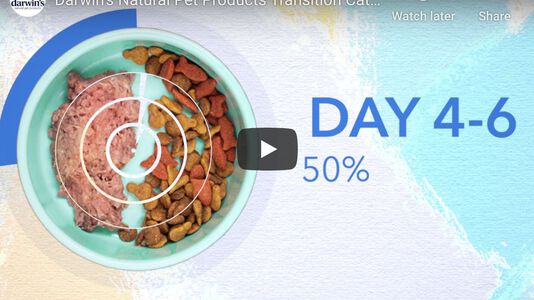 A Happier, Healthier Pet Starts Here!