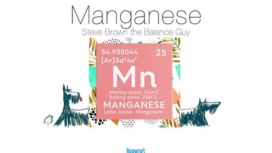 Focus on Nutrients Part: 2 Manganese (Mn)