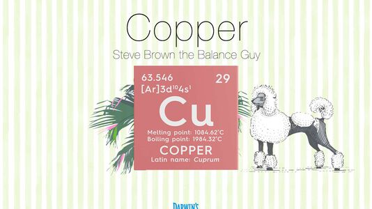 Focus on Nutrients Part:2 Copper (Cu)