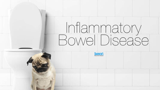 Inflammatory Bowel Disease