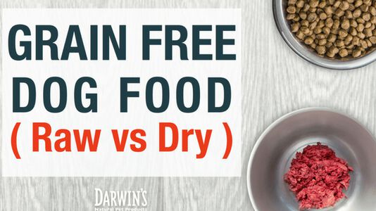 Grain-Free Dog Food (Raw vs Dry)