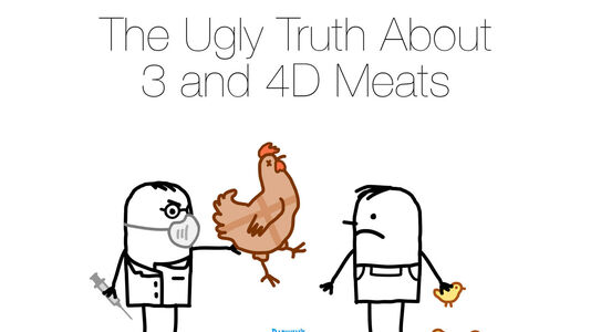 The Hidden Dimension in Pet Food: 3D and 4D Meats