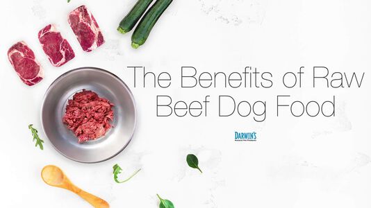 Nutritionally Balanced Raw Beef Dog Food