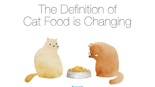Is Cat Food Changing?