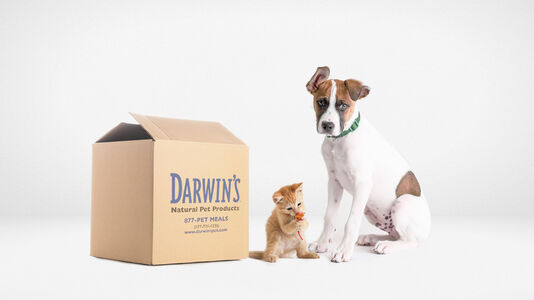 Darwin’s Adoption Program