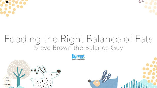 Feeding the Right Balance of Fats: Part 3