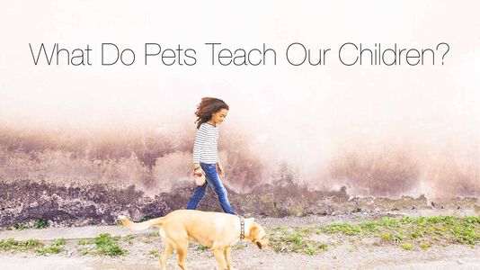 What Do Pets Teach Our Children?