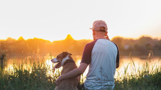 How To Bond With Your Dog With 7 Activities
