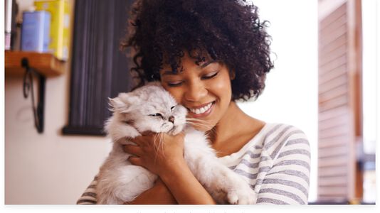 Cat Body Language: Decoding Feline Communication