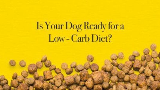 Low-Carb Dog Food