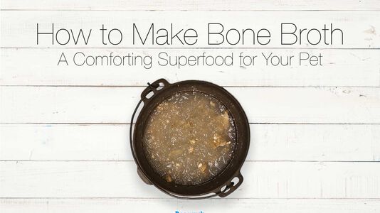 Bone Broth For Pets: Why & How