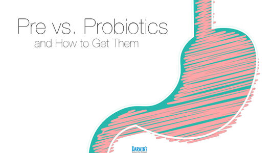 Probiotics & Prebiotics for Dogs