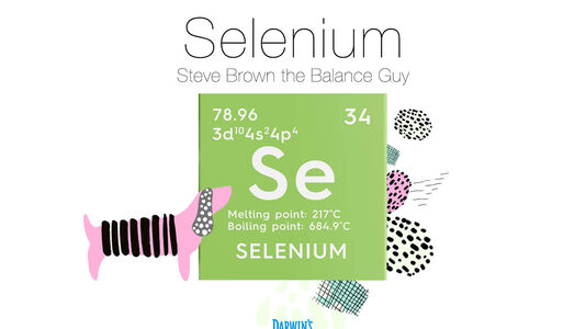 Focus on Nutrients Part 2: Selenium